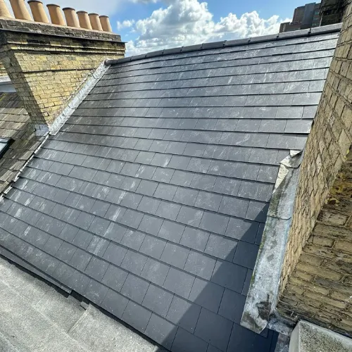 Recent roof project